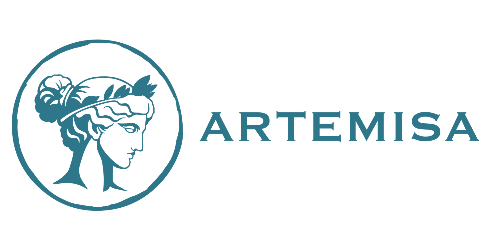 logotipo horizontal de academia artemisa